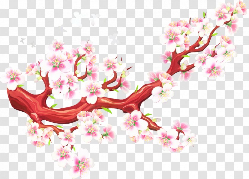 Cherry Blossom Flower - Spring - Plant Branch Transparent PNG