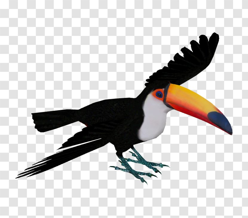 Zoo Tycoon 2 Toco Toucan Piciformes Bird Fiery-billed Aracari - Ramphastos Transparent PNG