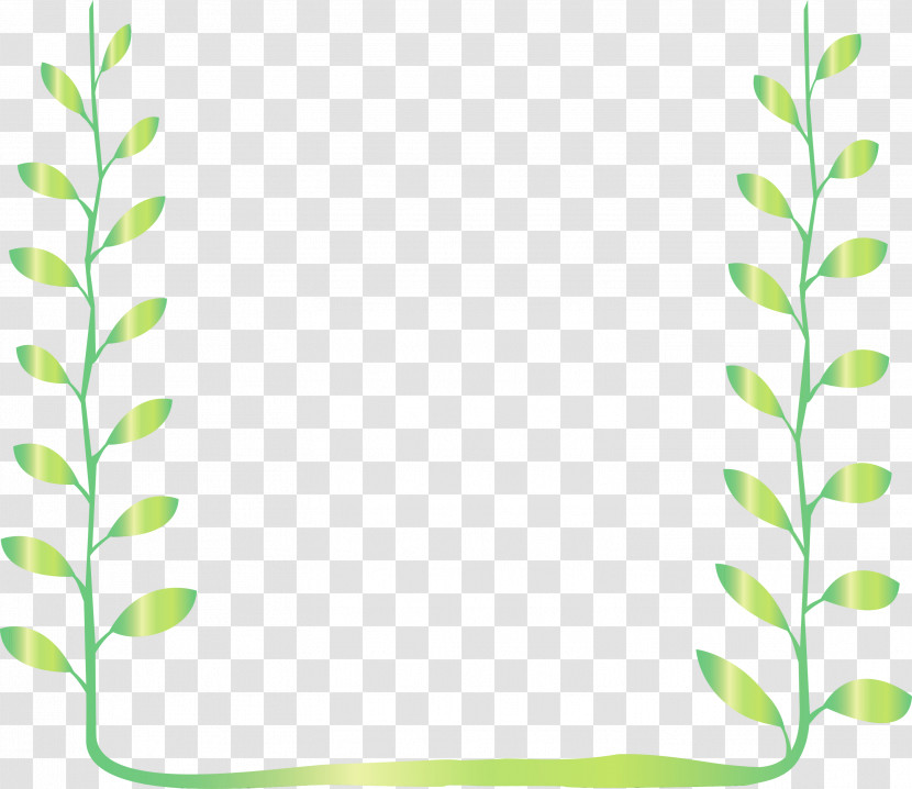 Green Leaf Vascular Plant Plant Rectangle Transparent PNG