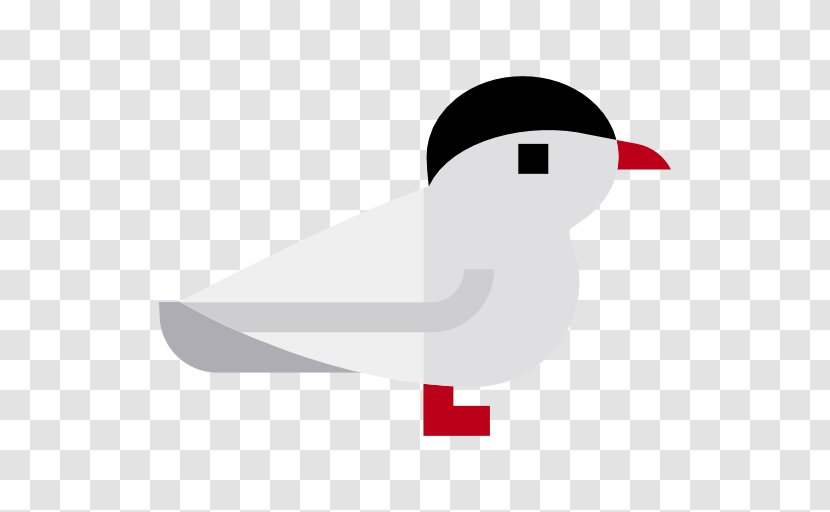 Arctic Tern Terns Clip Art - Wing - Flightless Bird Transparent PNG