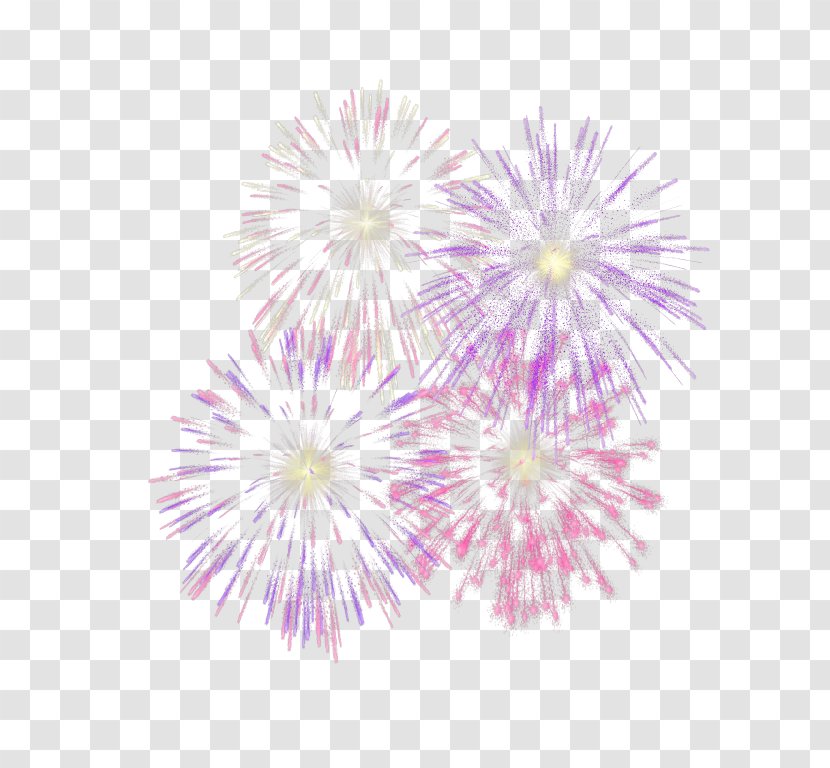 Adobe Fireworks Firecracker Color - Purple Transparent PNG