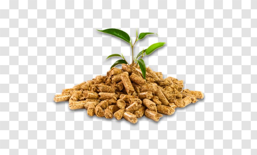 Pellet Fuel Biomass Woodchips Wood Renewable Energy - Sawdust Transparent PNG