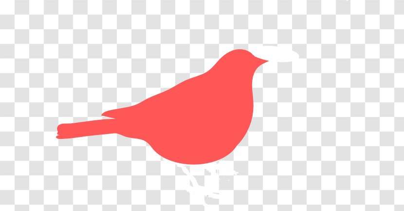 Beak Logo Brand Font - Red - Sparrow Cliparts Transparent PNG