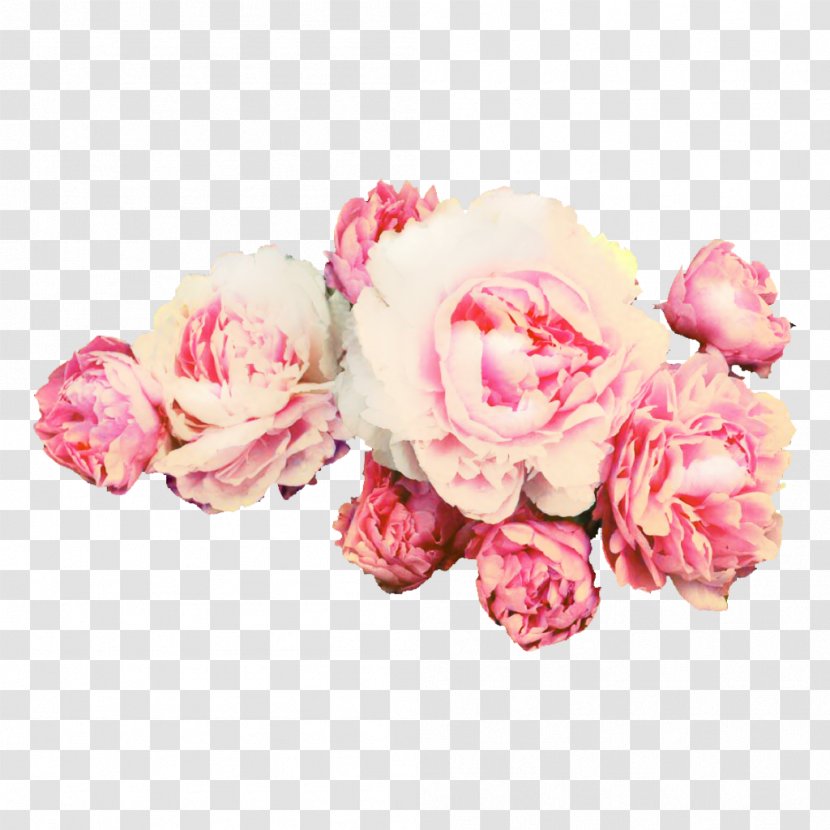 Peony Rose Clip Art Transparency - Common - Flower Transparent PNG