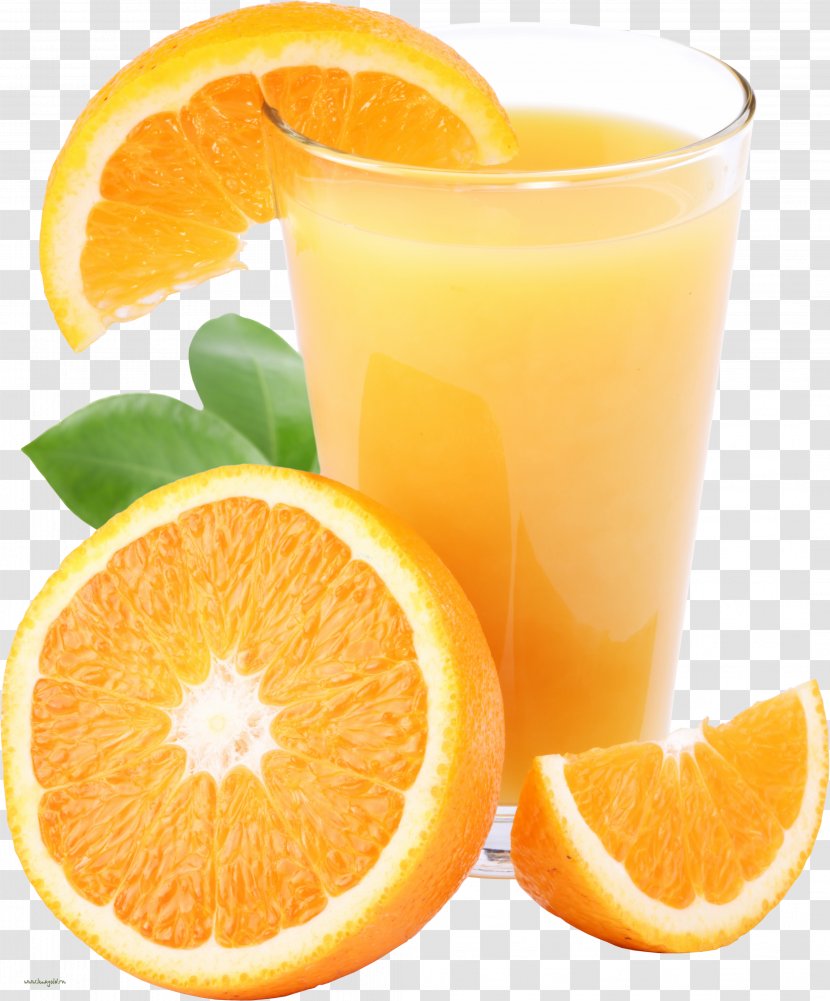 Orange Juice Cocktail Tomato - Drink Transparent PNG