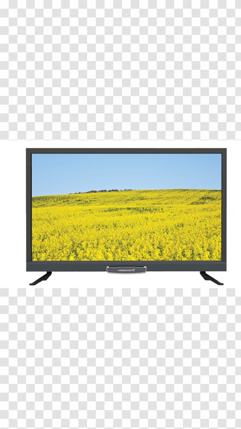 LED-backlit LCD Television Set Videocon HD Ready - Hd - Led Tv Transparent PNG