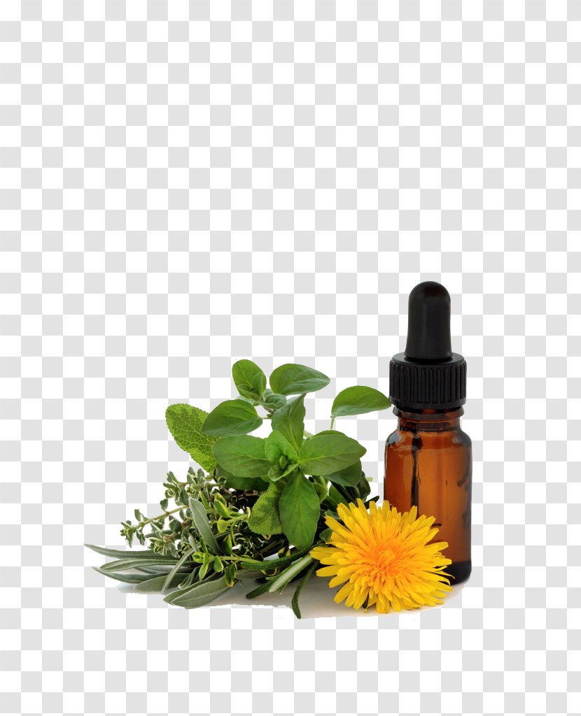 Bach Flower Remedies Therapy Homeopathy Physician Emotion - Alternative Health Services - Candle Oil Transparent PNG