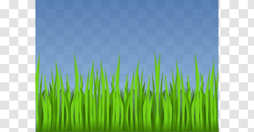 Animation Lawn Clip Art - Grassland - Animated Forest Cliparts Transparent PNG