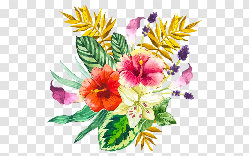 Vector Graphics Floral Design Flower Clip Art Image - Bouquet - Minnesota Hardy Tropical Plants Transparent PNG