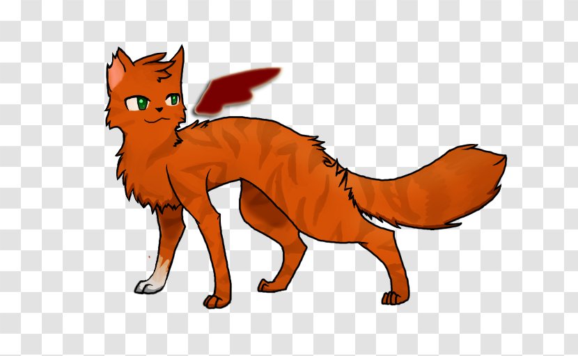Whiskers Cat Warriors Squirrelflight Red Fox - Wing - Tawny Transparent PNG