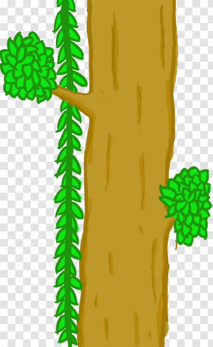 Plant Stem Leaf Tree Flowering - Cartoon - Family Transparent PNG