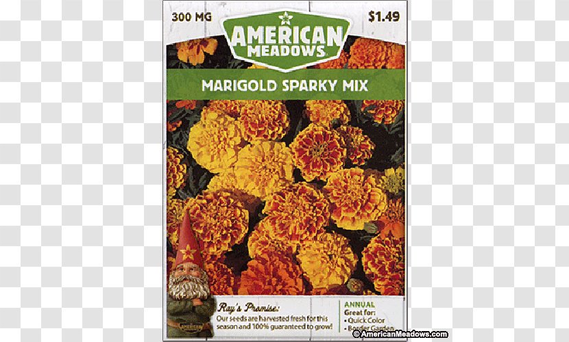 Vegetarian Cuisine Marigold Seed Flower Recipe Transparent PNG