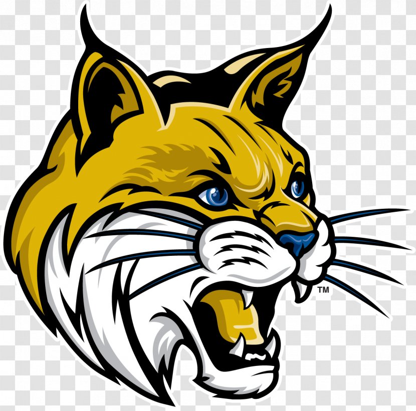 University Of California, Merced Riverside Santa Cruz UC Golden Bobcats Men's Basketball - Wildlife - Simple Bobcat Cliparts Transparent PNG