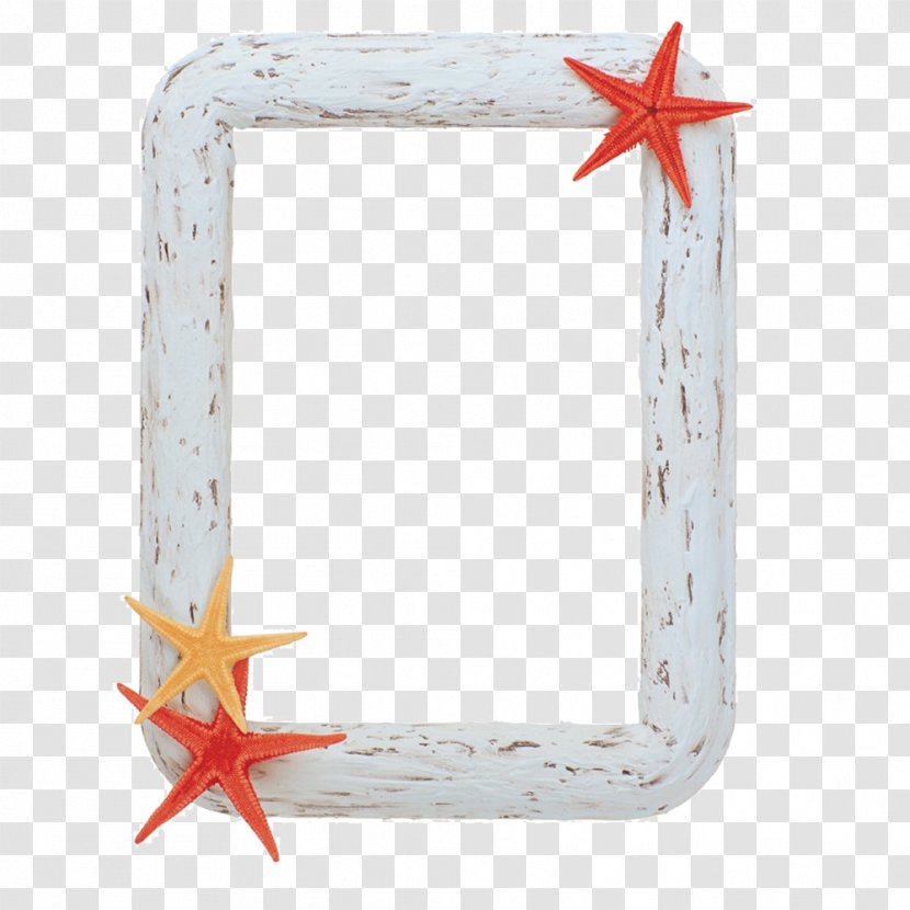Picture Frame Computer File - Starfish Transparent PNG