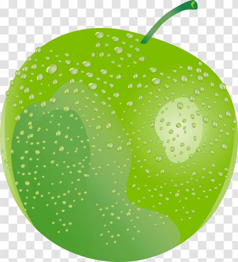 Download - Green - Apple Overhead Transparent PNG