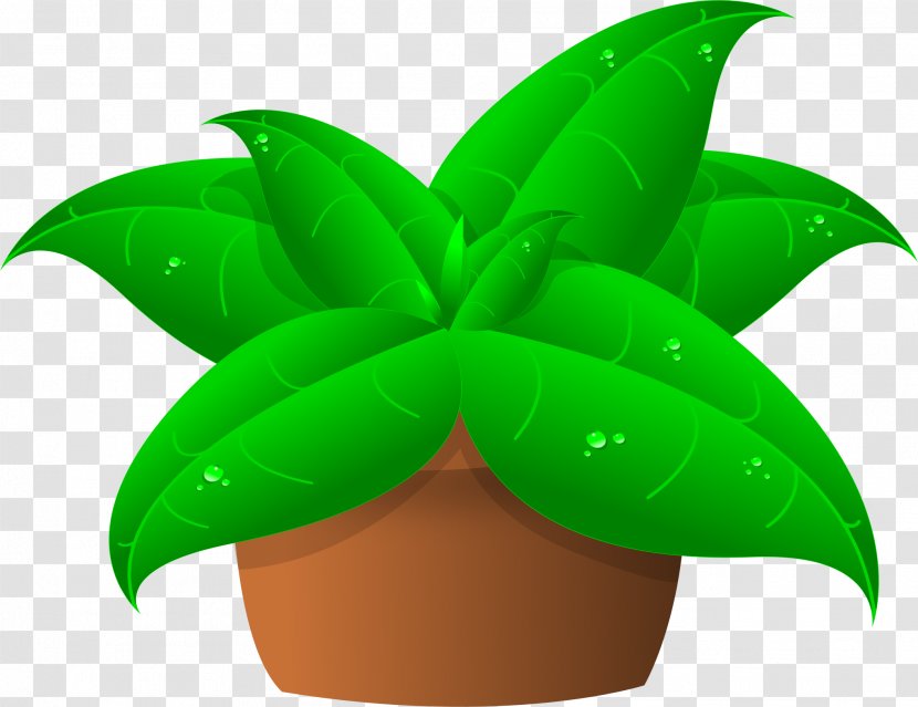 Plant Cattleya Orchids Clip Art - Pot Leaf Transparent PNG
