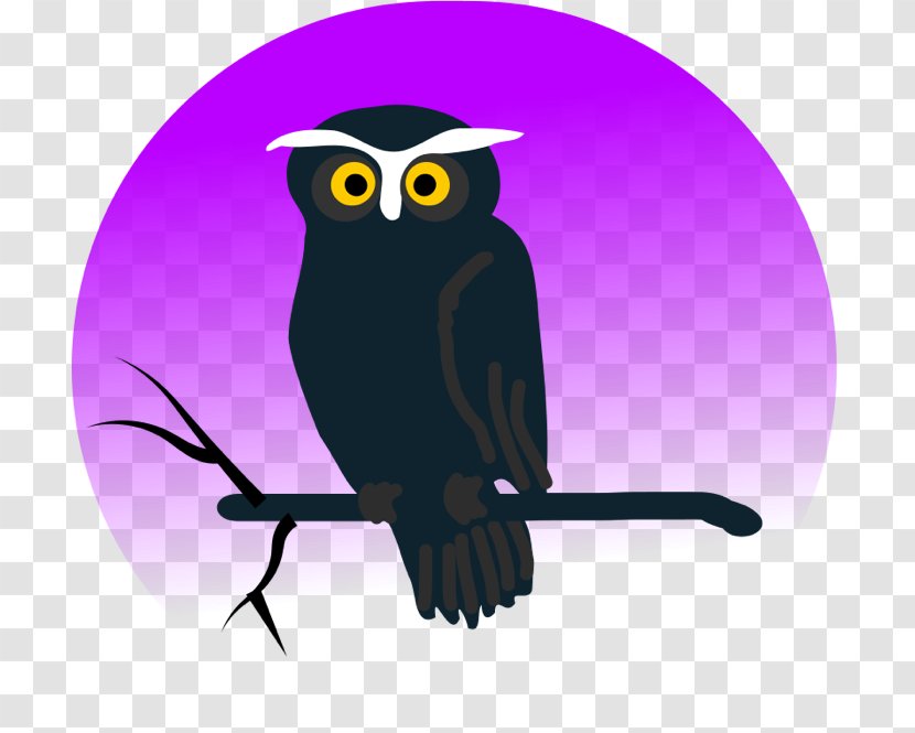 Owl Animation Clip Art - Purple - Vector Birds Transparent PNG