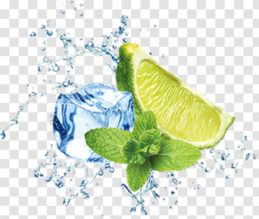 Cocktail Mojito Ice Fototapeta Toothache - Splash Lemon Transparent PNG