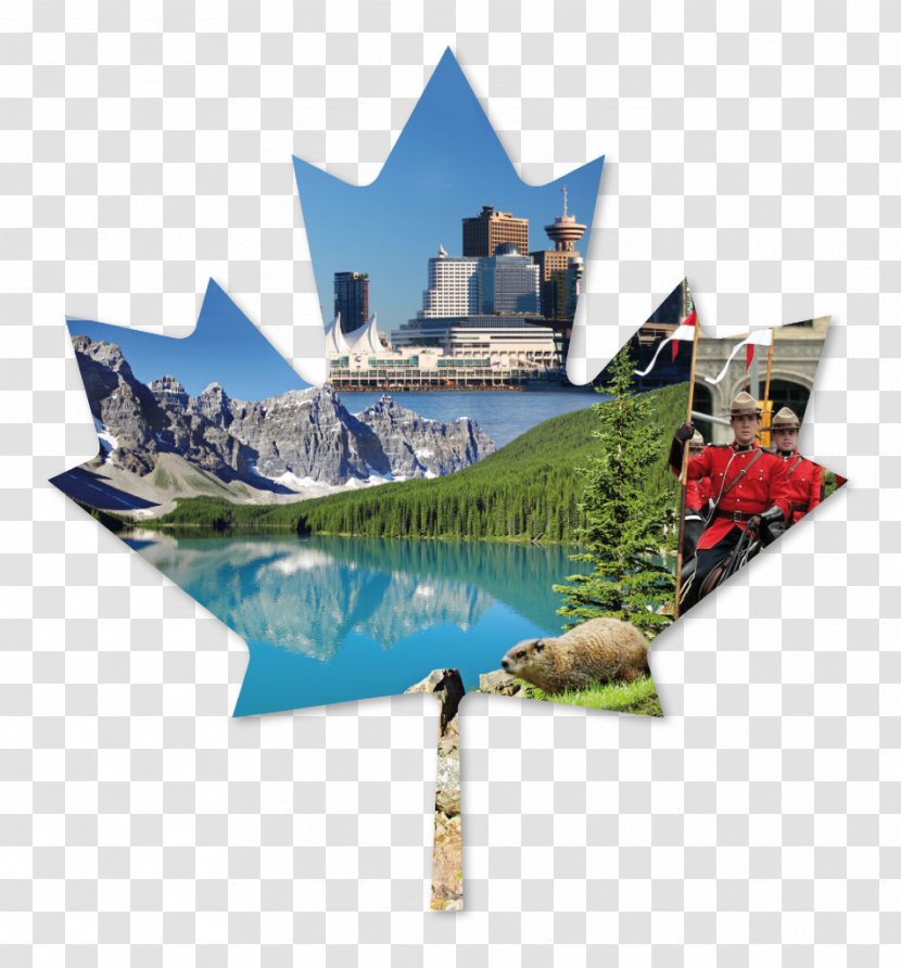 Flag Of Canada Maple Leaf CanPacific College Business & English A Mari Usque Ad Mare - Stock Photography Transparent PNG
