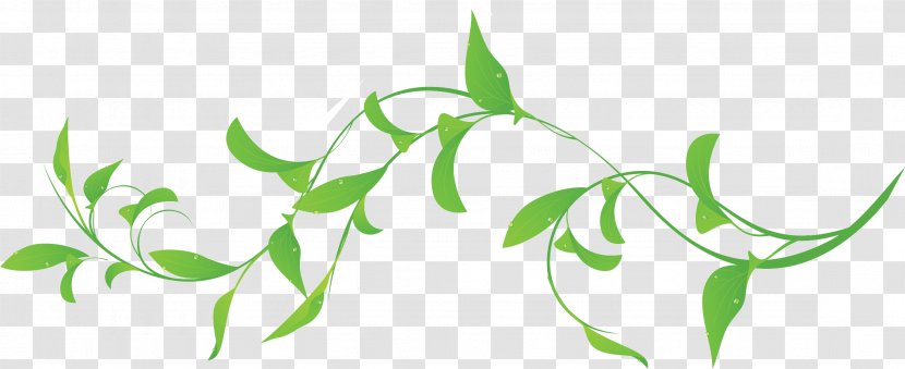 Green Skip Hair Salon Leaf Color Clip Art - Grass Transparent PNG