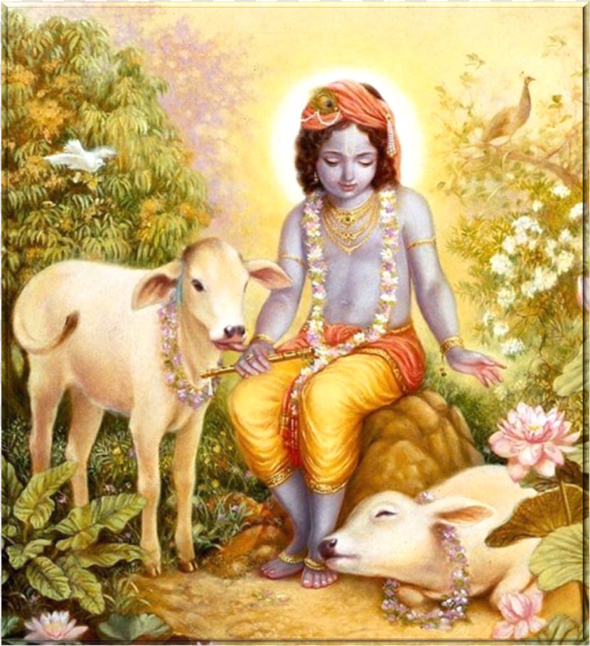 Highland Cattle Krishna Janmashtami Vrindavan Krsna, The Supreme Personality Of Godhead - Organism - Radha Transparent PNG