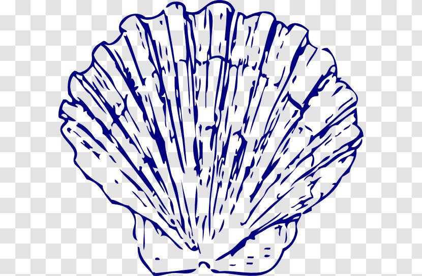Seashell Blue Clip Art - How To Draw A Conch Shell Transparent PNG
