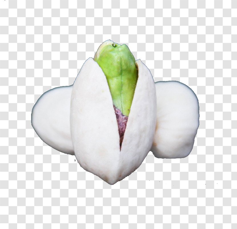 Pistachio Nut Bleach - Fruit - Saliva Baby Colors Without Bleaching Pistachios Transparent PNG