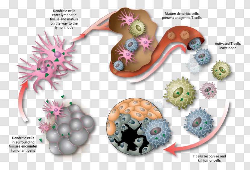 Radiation Therapy Treatment Of Cancer Product Mexico - Chemotherapy Transparent PNG