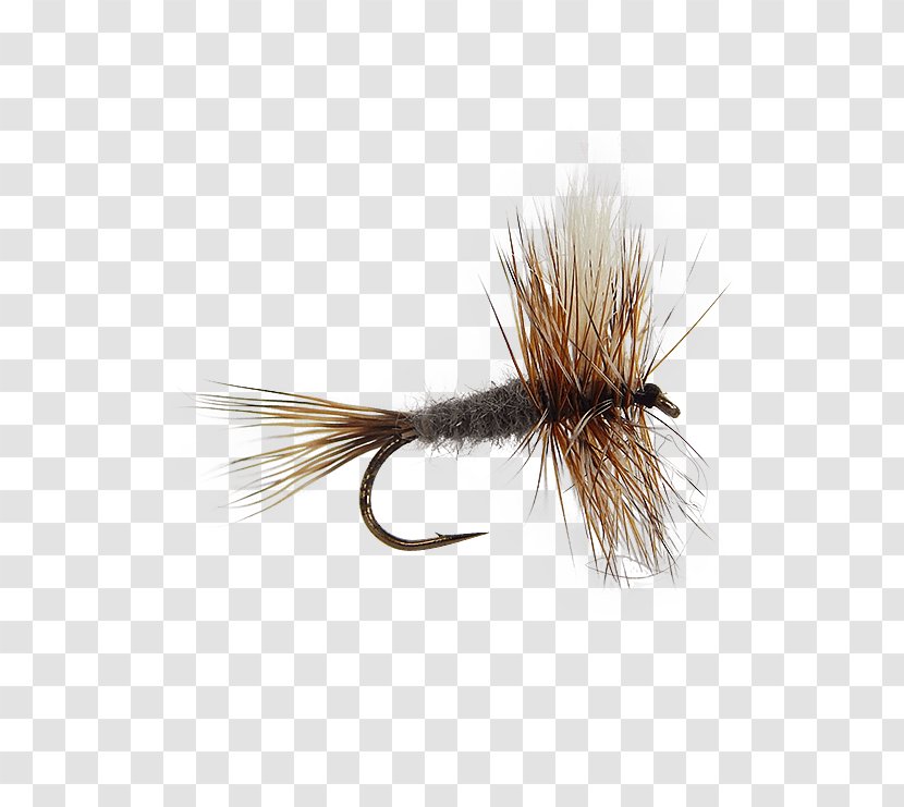 Artificial Fly Fishing Insect Emergers - Tree - Dry Flies Transparent PNG
