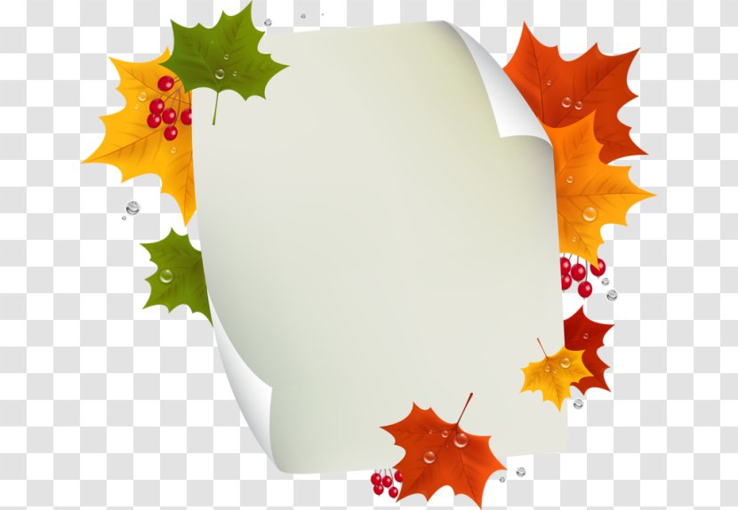 Leaf Clip Art - Tree - New Autumn Products Transparent PNG