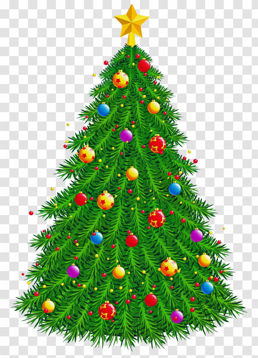 Christmas Tree Transparent PNG