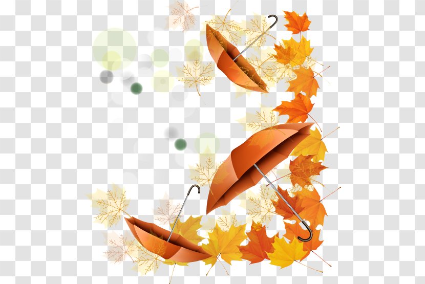 Autumn Illustration - Yellow - Beautiful Maple Leaf Umbrella Transparent PNG
