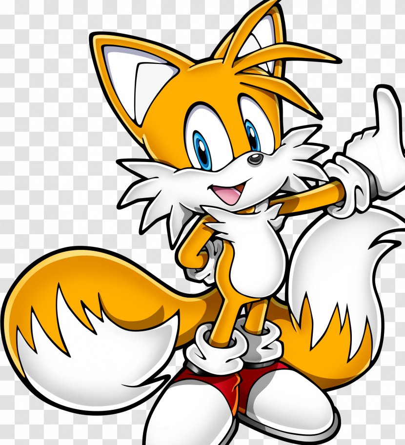 Sonic Rush Adventure Tails Heroes The Hedgehog - Cat Like Mammal - Miles Transparent PNG