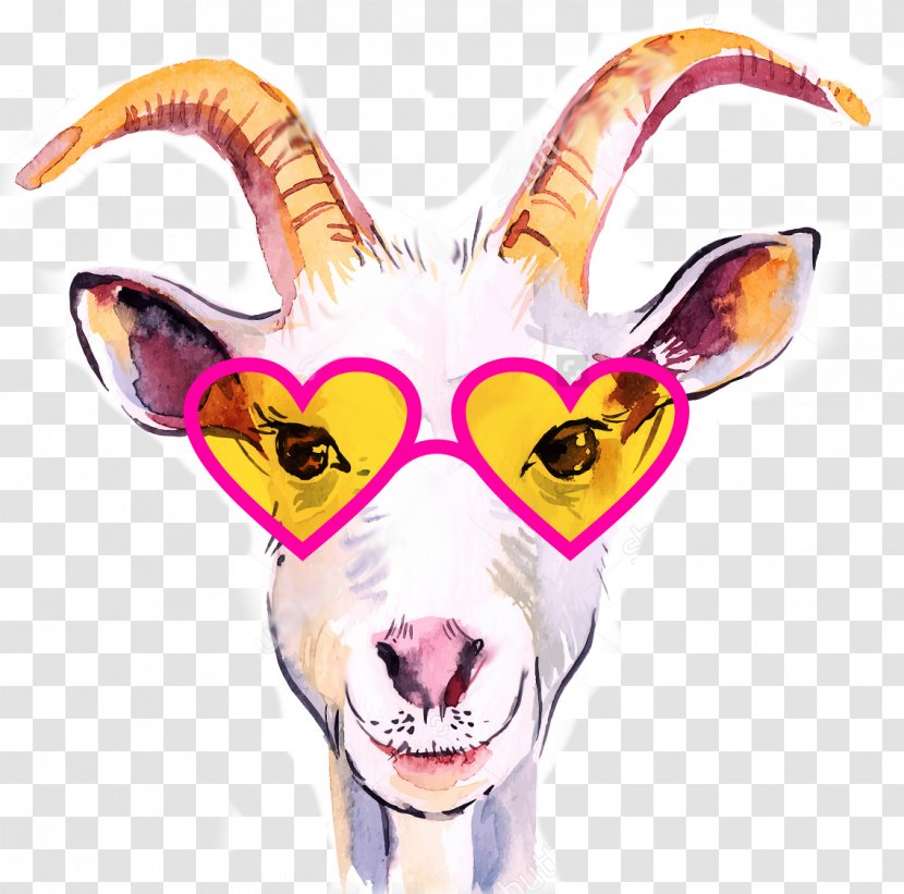 Goat Sheep Christmas - Cow Family - Goats Transparent PNG