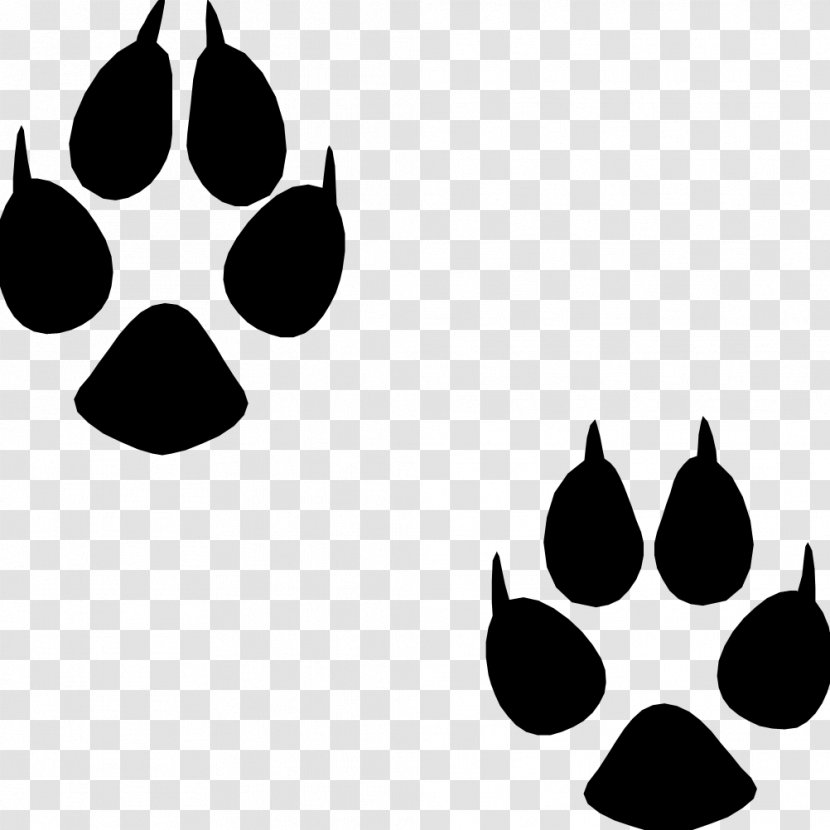 Dog Puppy Cat Footprint Animal Track - Tracking Transparent PNG