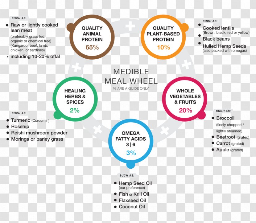 Meal Nutrition Diet Health Dog - Web Page Transparent PNG