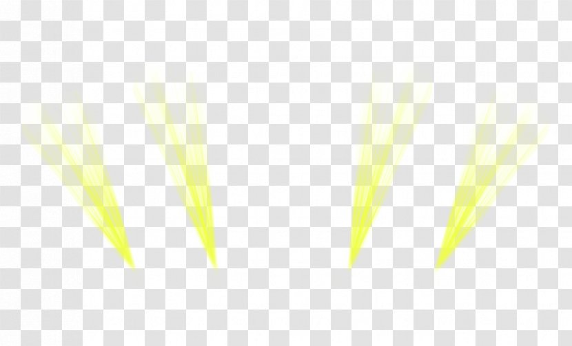Yellow Angle Font - Grass - Wedding Lights Transparent PNG