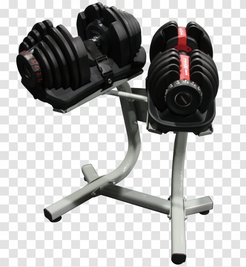 Dumbbell Barbell Exercise Machine Physical Fitness Centre - Bikes Transparent PNG