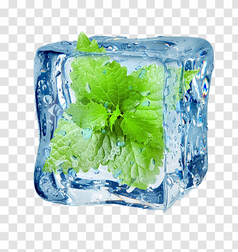 Menthol Peppermint Flavor Electronic Cigarette Aerosol And Liquid - Throat Hit - Iced Mint Leaves Transparent PNG