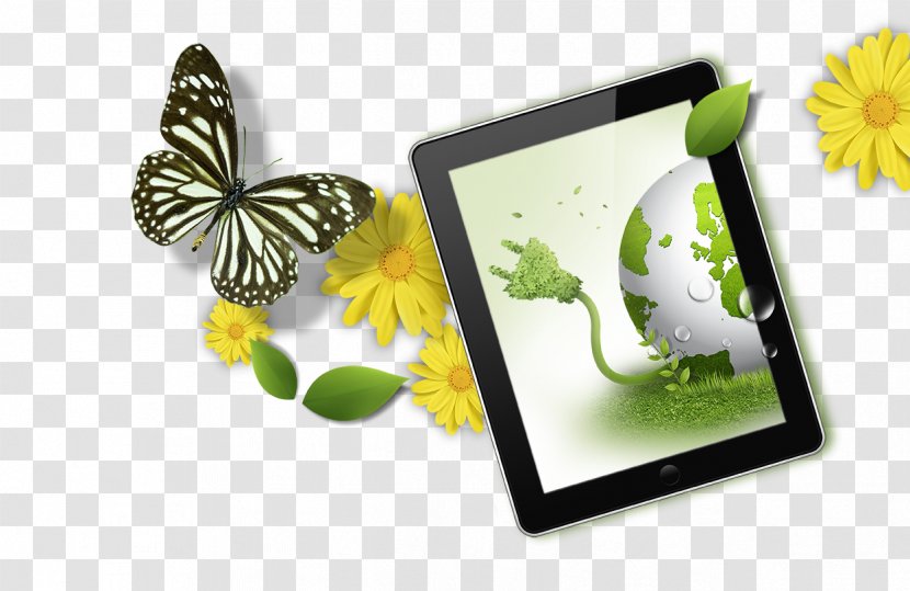 Download Google Images Computer File - Insect - Tablet Transparent PNG
