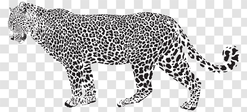 Leopard Cheetah Vector Graphics Stock Photography Illustration - Line Art Transparent PNG