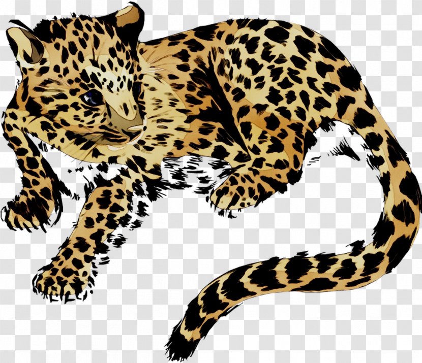 Leopard Jaguar Cheetah Tiger Pattern - Carnivore - Vertebrate Transparent PNG