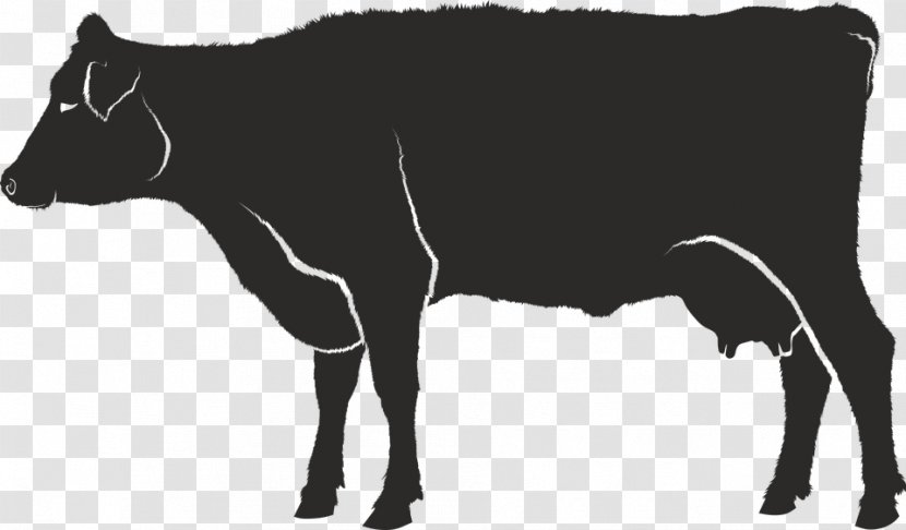 Dairy Cattle Baka Silhouette Image Ox Transparent PNG