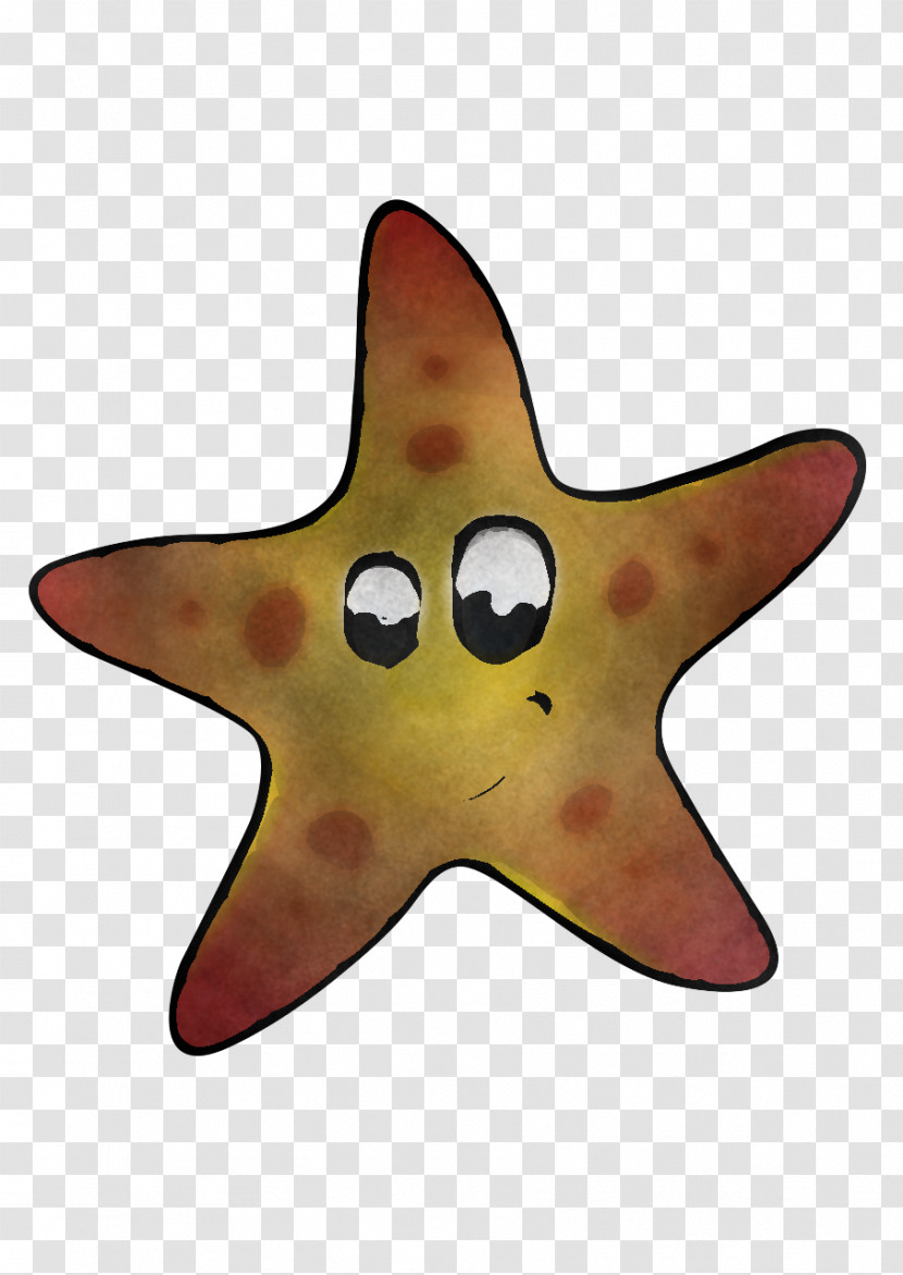 Starfish Biology Science Transparent PNG