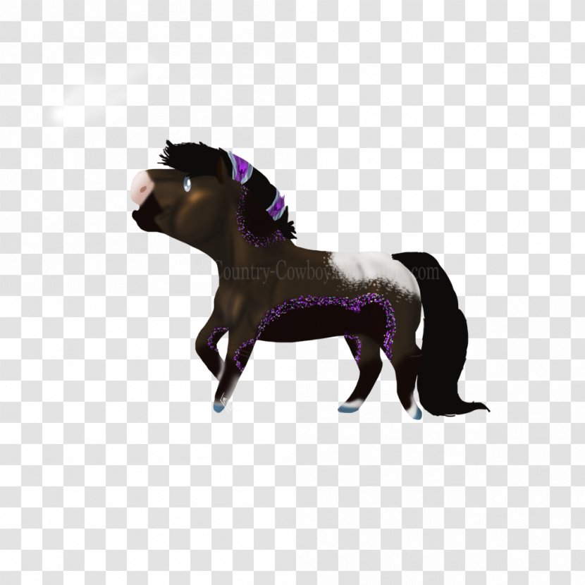 Mane Mustang Pony Stallion Donkey Transparent PNG