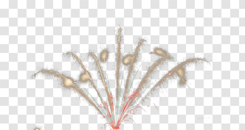 Feather - Watercolor - Fireworks Transparent PNG