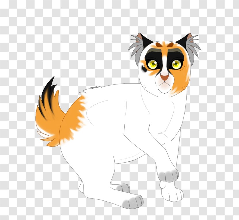 Whiskers Kitten Red Fox Cat Dog - Carnivoran Transparent PNG