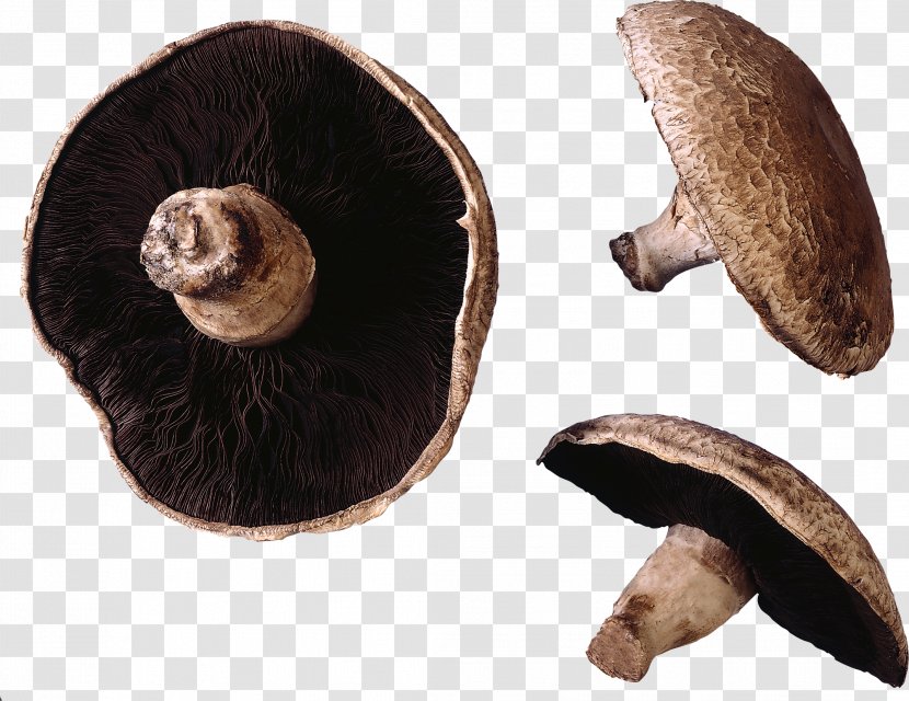 Shiitake Fur Agaricus - Ingredient - Mushroom Image Transparent PNG