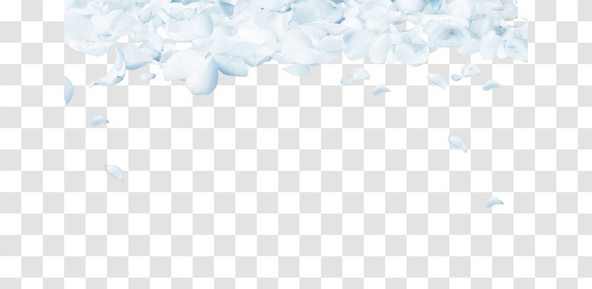 Sky Pattern - White Floral Background Transparent PNG