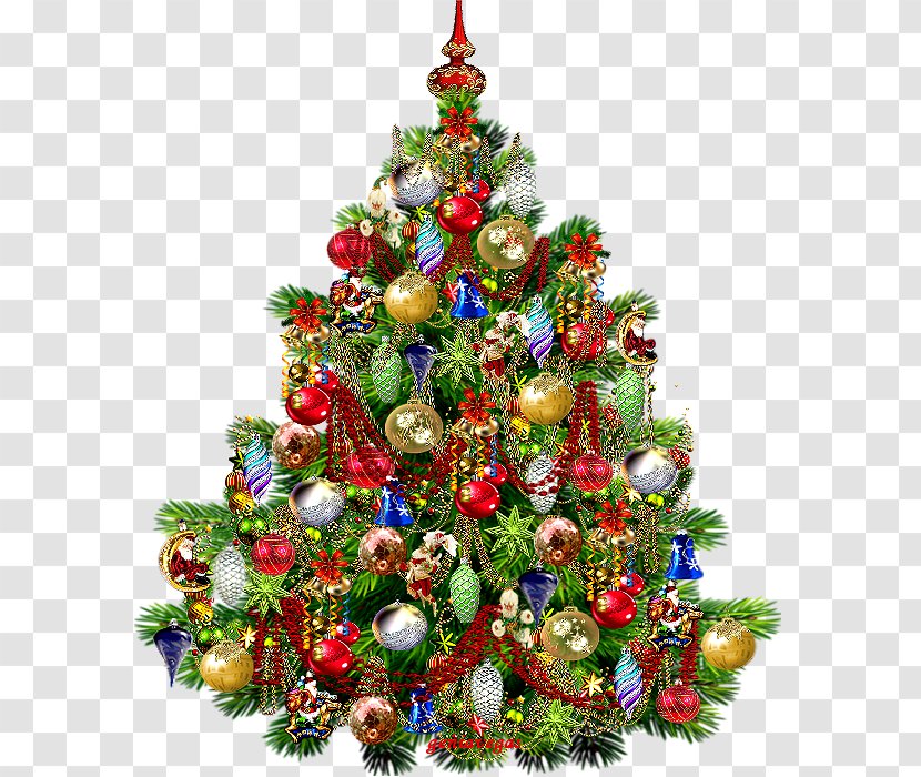 Christmas Tree New Year - Pine Transparent PNG